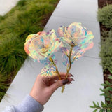 GALAXY ROSE ™ Rose Éternelle Plaquée Or 24K - Shebuel